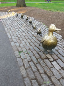 duck parade